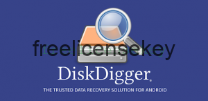 free diskdigger license key
