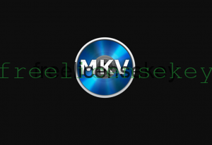 free makemkv license